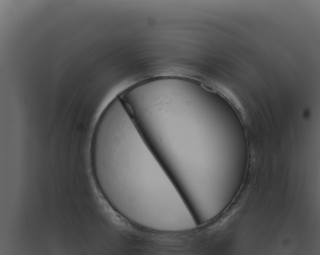 X0000094821138200711161022