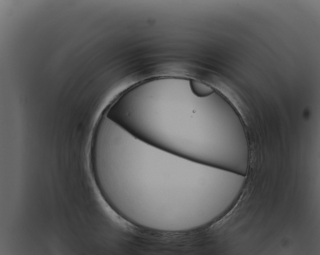 X0000094821139200711161022