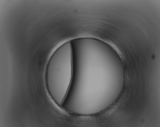 X0000094821142200711161022