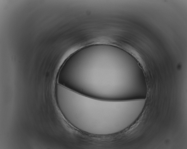 X0000094821146200711161022