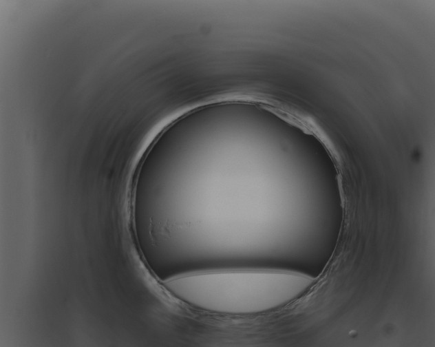 X0000094821148200711161022