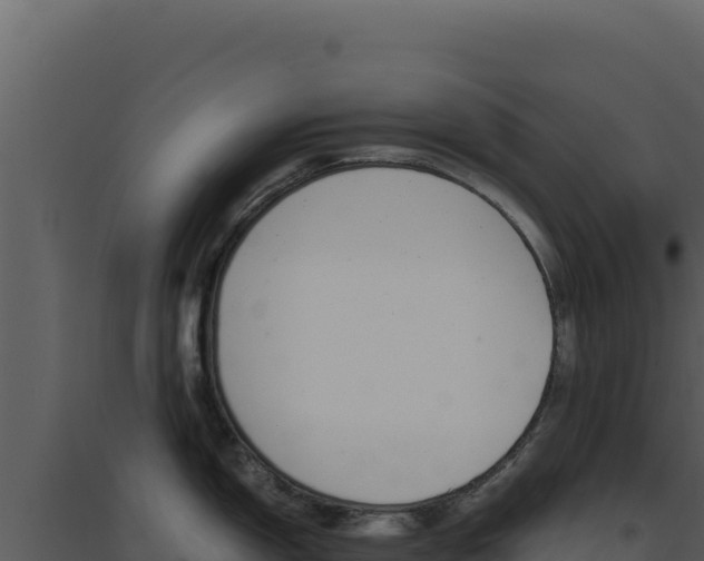X0000094821150200711161022