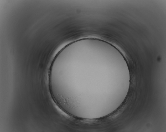 X0000094821151200711161022