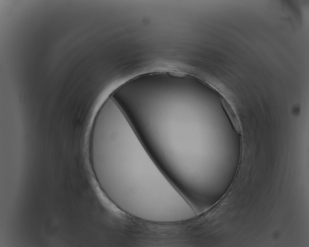 X0000094821152200711161022