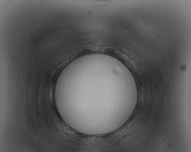 X0000094821154200711161021