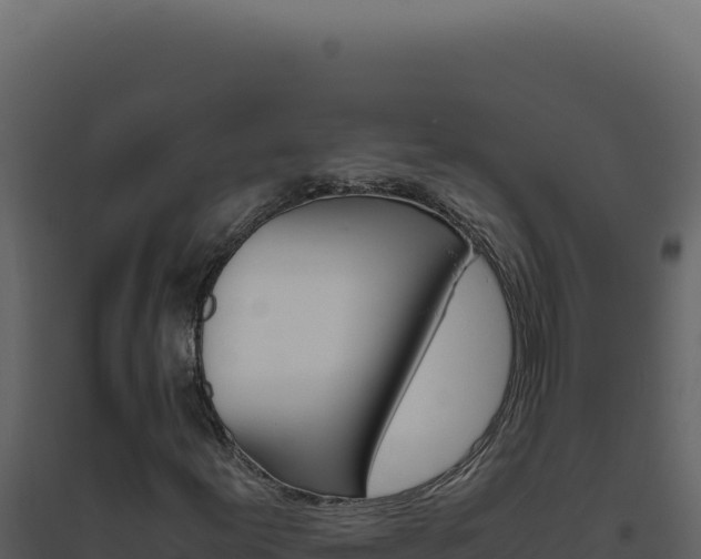X0000094821155200711161021