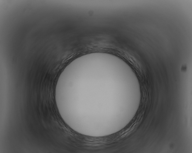 X0000094821156200711161021