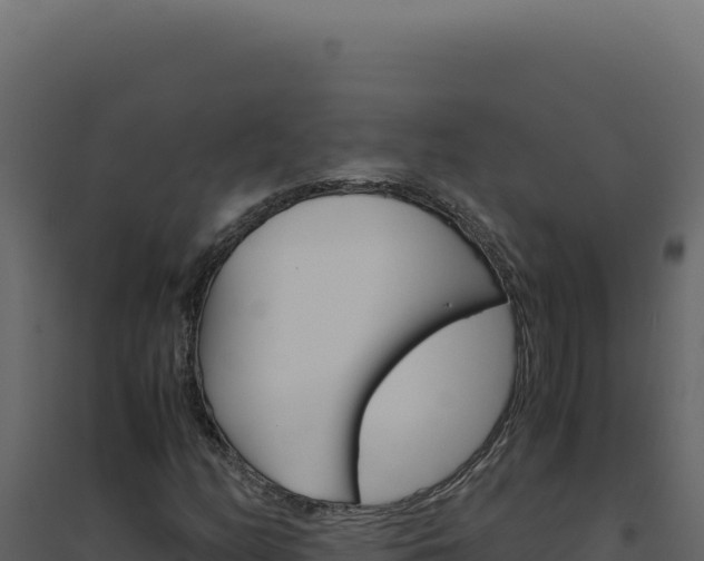 X0000094821158200711161021