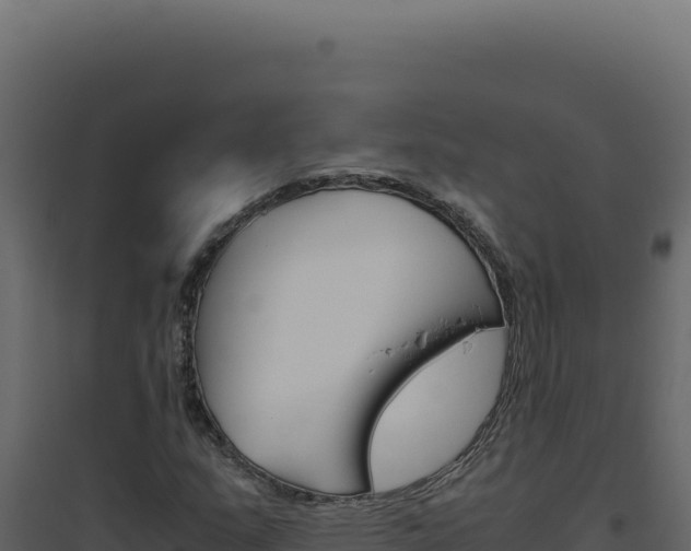 X0000094821159200711161021
