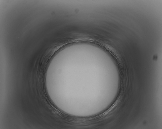 X0000094821161200711161021