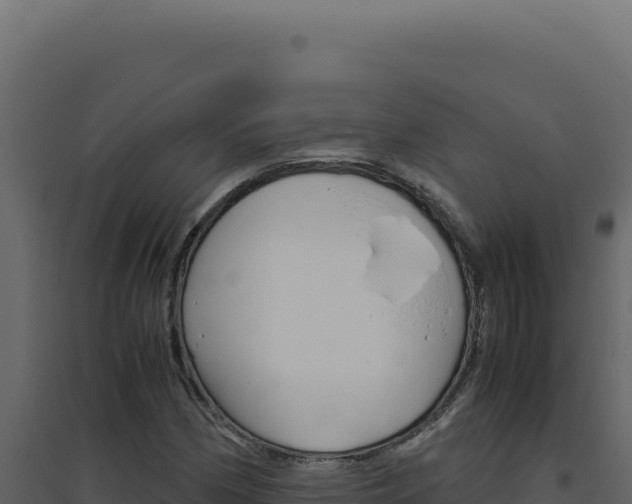 X0000094821162200711161021