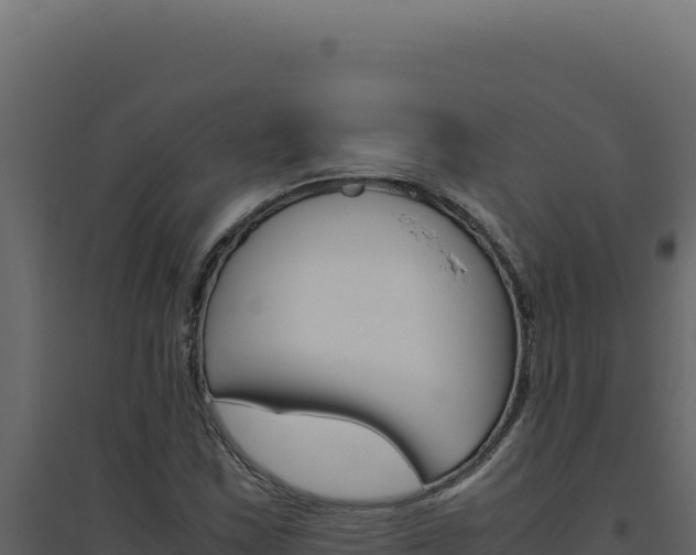 X0000094821163200711161021