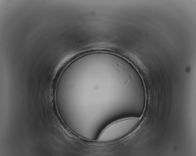 X0000094821164200711161021