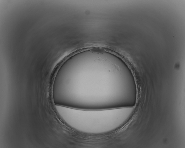 X0000094821165200711161021