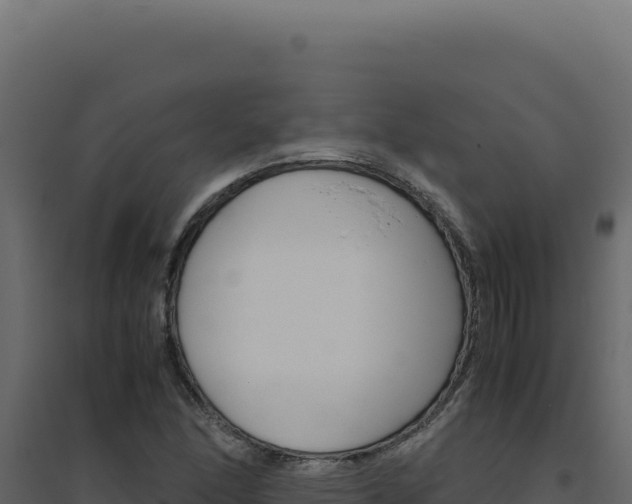 X0000094821166200711161021