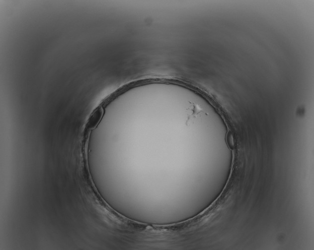 X0000094821168200711161021