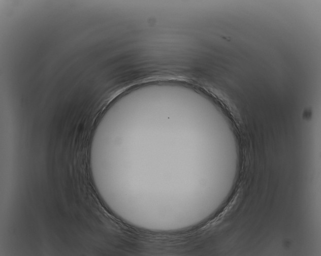 X0000094821169200711161021