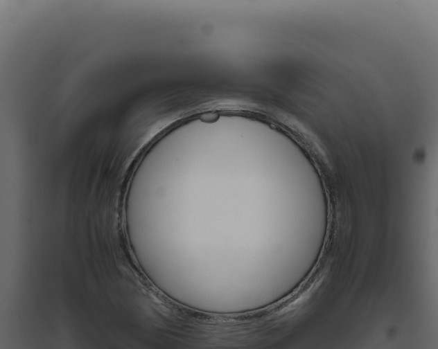 X0000094821170200711161021