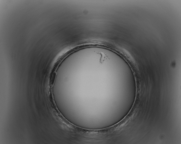 X0000094821172200711161021
