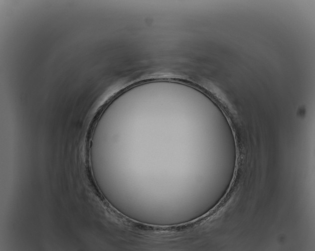 X0000094821173200711161021