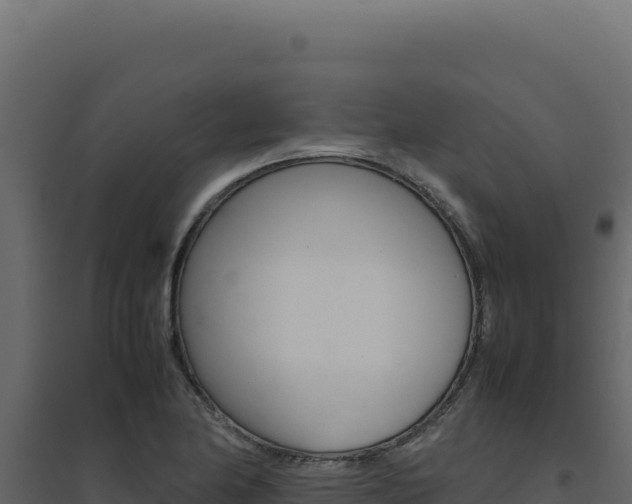 X0000094821174200711161021