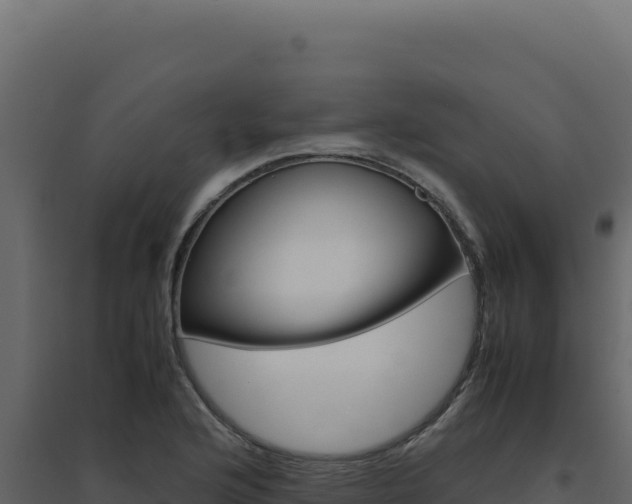 X0000094821176200711161021