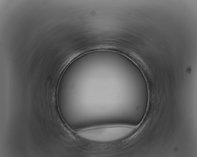 X0000094821177200711161021