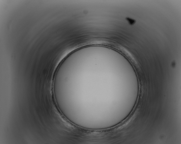 X0000094821178200711161021