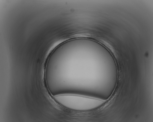 X0000094821179200711161021