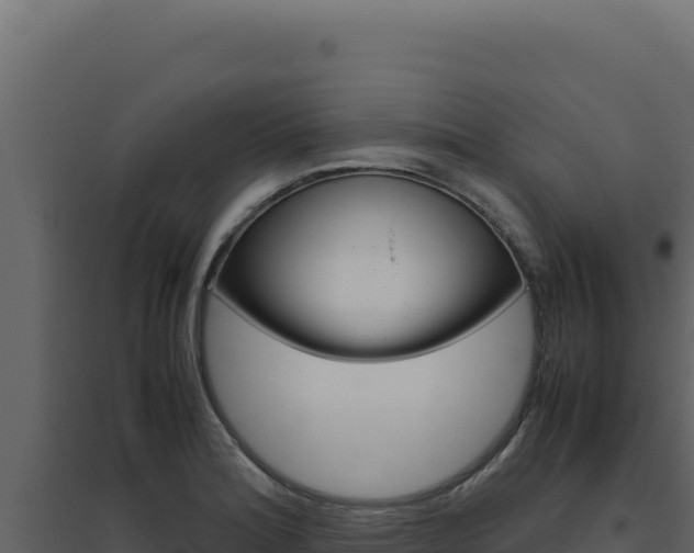 X0000094821180200711161021