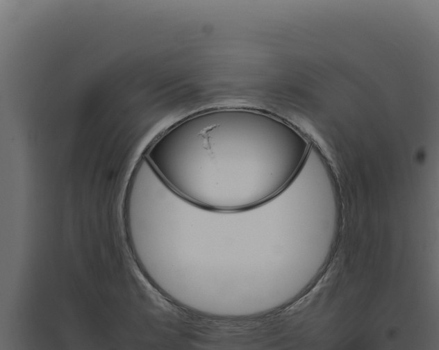 X0000094821181200711161021
