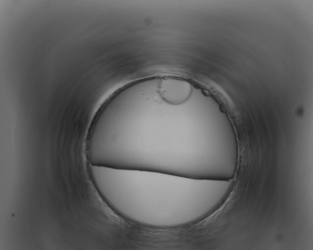 X0000094821182200711161021