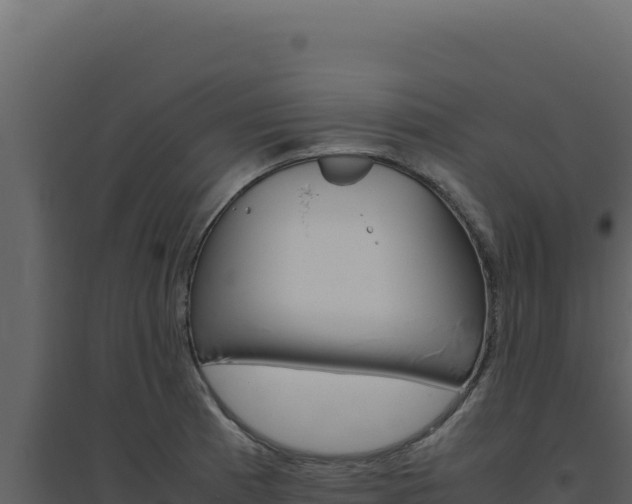 X0000094821185200711161020