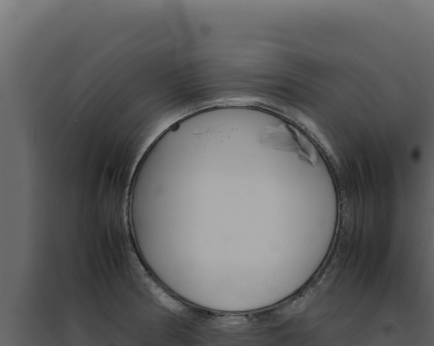 X0000094821186200711161020