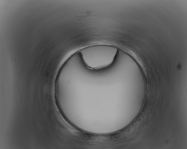 X0000094821187200711161020