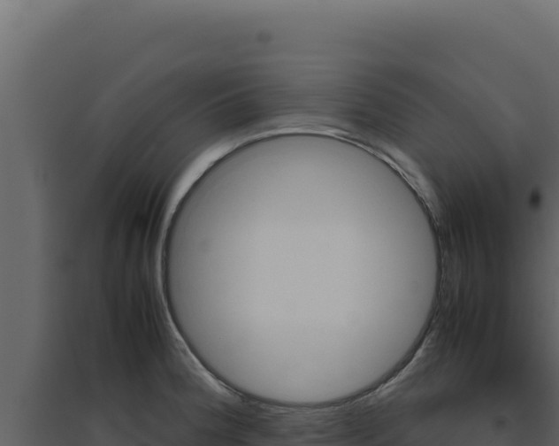 X0000094821188200711161020