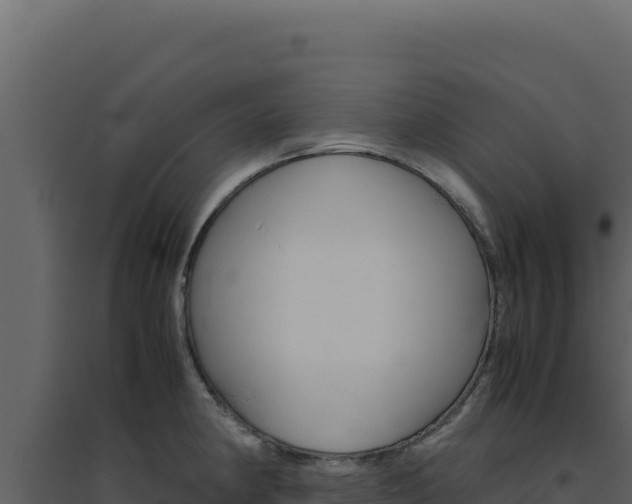 X0000094821190200711161020