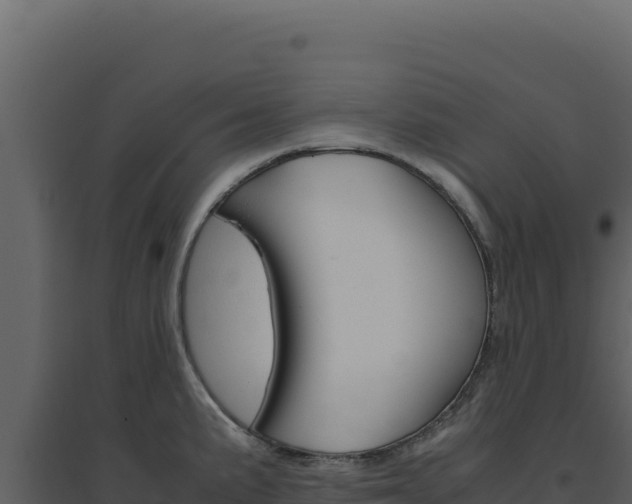 X0000094821191200711161020