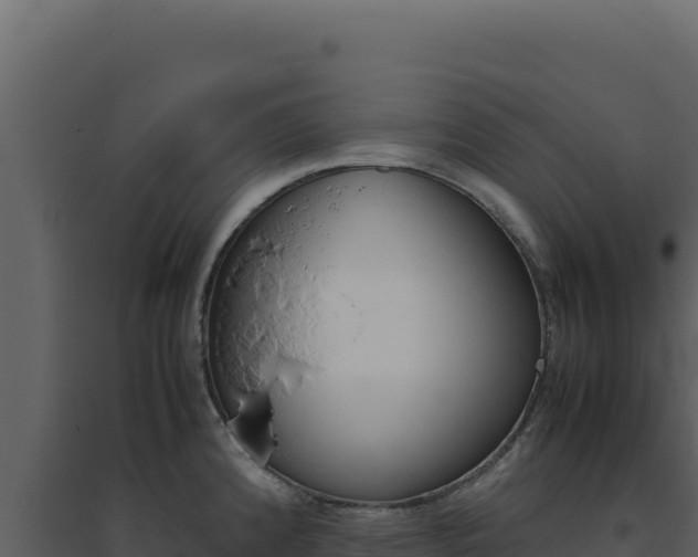 X0000094821192200711161020