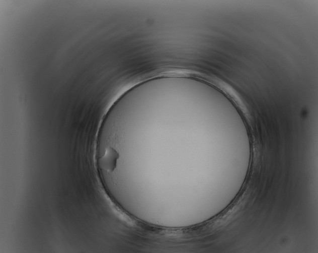 X0000094821194200711161020