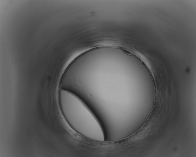 X0000094821195200711161020
