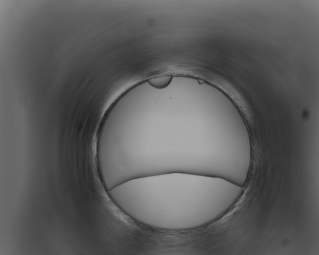 X0000094821198200711161020