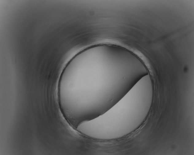 X0000094821199200711161020