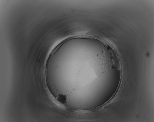 X0000094821200200711161020