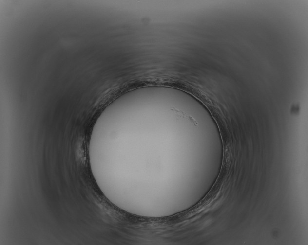 X0000094821202200711161019