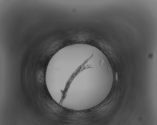 X0000094821203200711161019