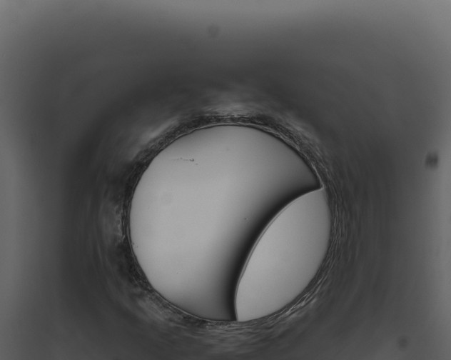 X0000094821205200711161020