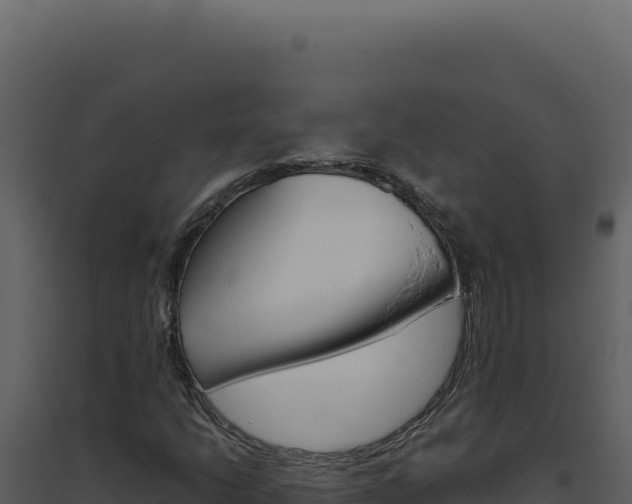 X0000094821206200711161020