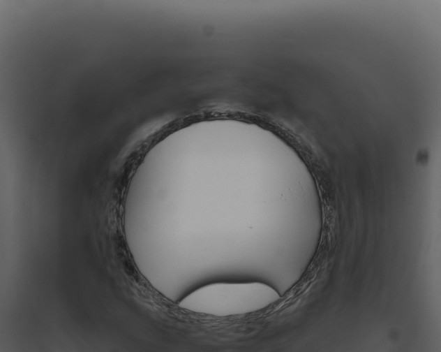 X0000094821207200711161020