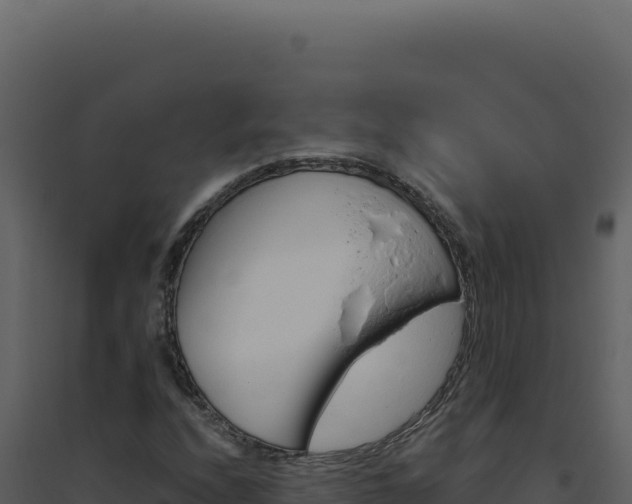 X0000094821208200711161020